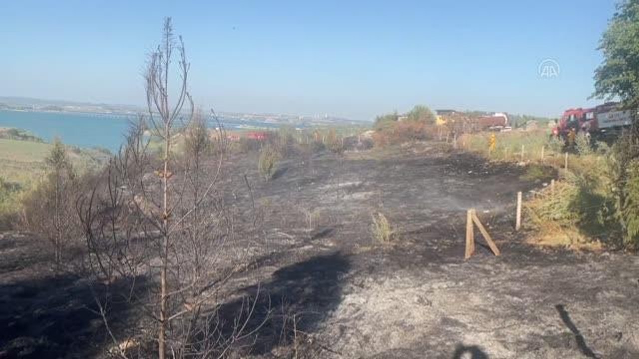 Son dakika haber... Çalılıkta çıkan yangın ormana sıçramadan kontrol altına alındı