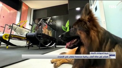 افتتاح أول صالة ألعاب رياضية مخصصة للكلاب في الإمارات