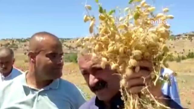 Tunceli Belediye Başkanı Fatih Mehmet Maçoğlu: Herkes Topraklarına Sahip Çıksın. Bizi Kurtaracak Olan Kendi Ellerimiz