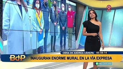 Andrea Cánepa, mente creativa del mural en Vía Expresa: "La cultura siempre ha sido relegada"