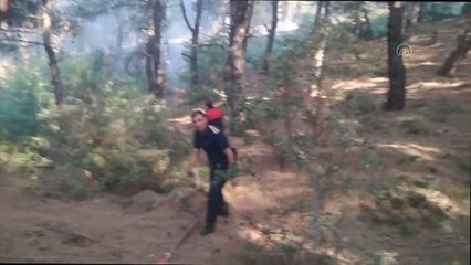 Son dakika haber... Keşan'da çıkan orman yangını söndürüldü