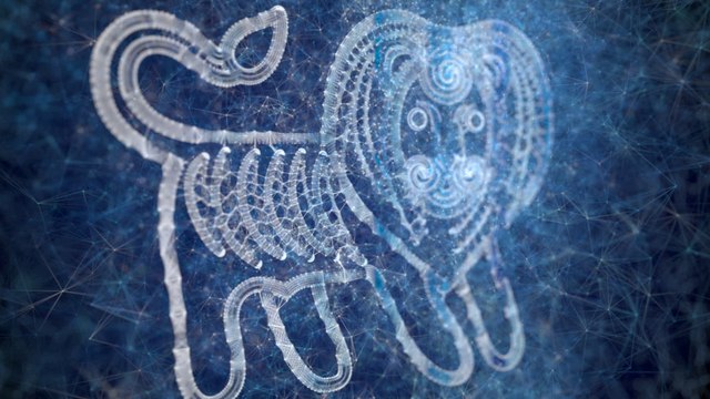 The best traits of the Leo zodiac sign