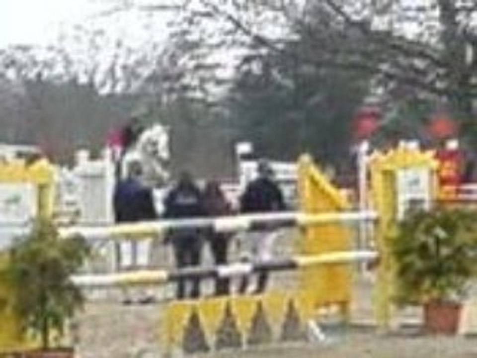 GOLD D'HARDY, Concours CSO / SHN