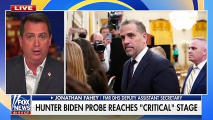 There are politics 'all over' the Hunter Biden investigation_ Fahey