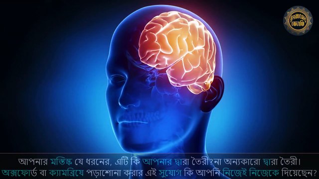 আপনাকে কে সৃষ্টি করেছেন _ দুনিয়াতে যা কিছু হয় সব আল্লাহর পক্ষ থেকেই হয়।