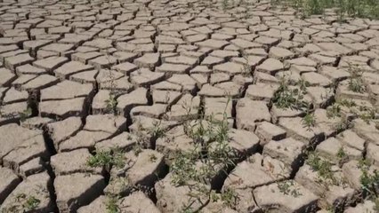 Los lagos de Hungría se quedan sin agua