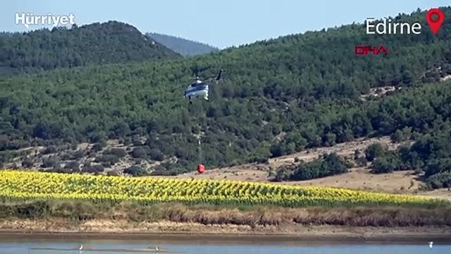 Edirne'nin Keşan ilçesinde çıkan orman yangını kontrol altına alındı