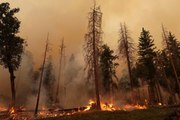 California Wildfires Prompt State of Emergency  Evacuations  and Park Closures   What to K