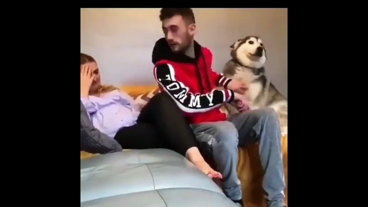 fun videos compilatiosn #2
