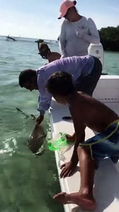 Shark Bites Off Man's Pinky