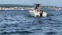 Humpback Whale Breached and Landed on Our Boat