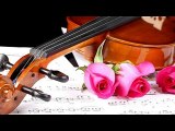 Violinista Bergamo