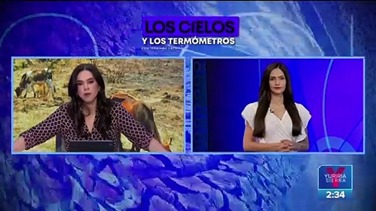 Se forma la tormenta tropical "Frank" en el océano Pacífico; provocará lluvias