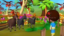 Three Clever Goats Hindi Moral Stories for Kids | JOJO TV Kids Hindi Kahaniya