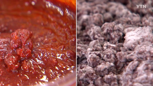 '팥으로 메주를 쑨다고?'...기능성 팥고추장 기술 상용화 / YTN