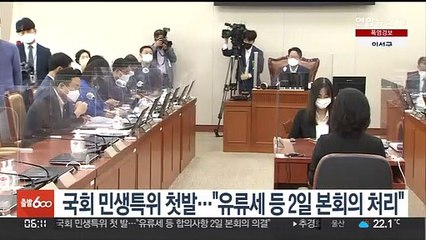 국회 민생특위 첫발…"유류세 등 2일 본회의 처리"