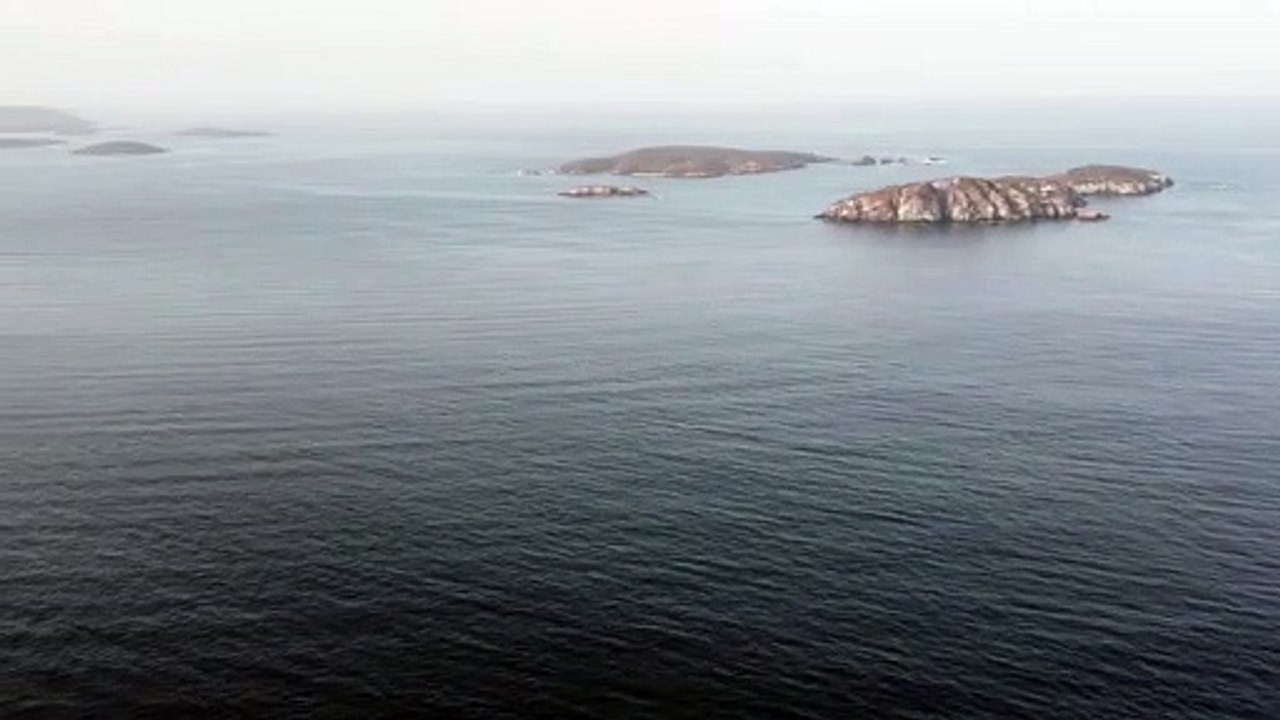 Medititation Workout Music Press Fuse - French Fuse