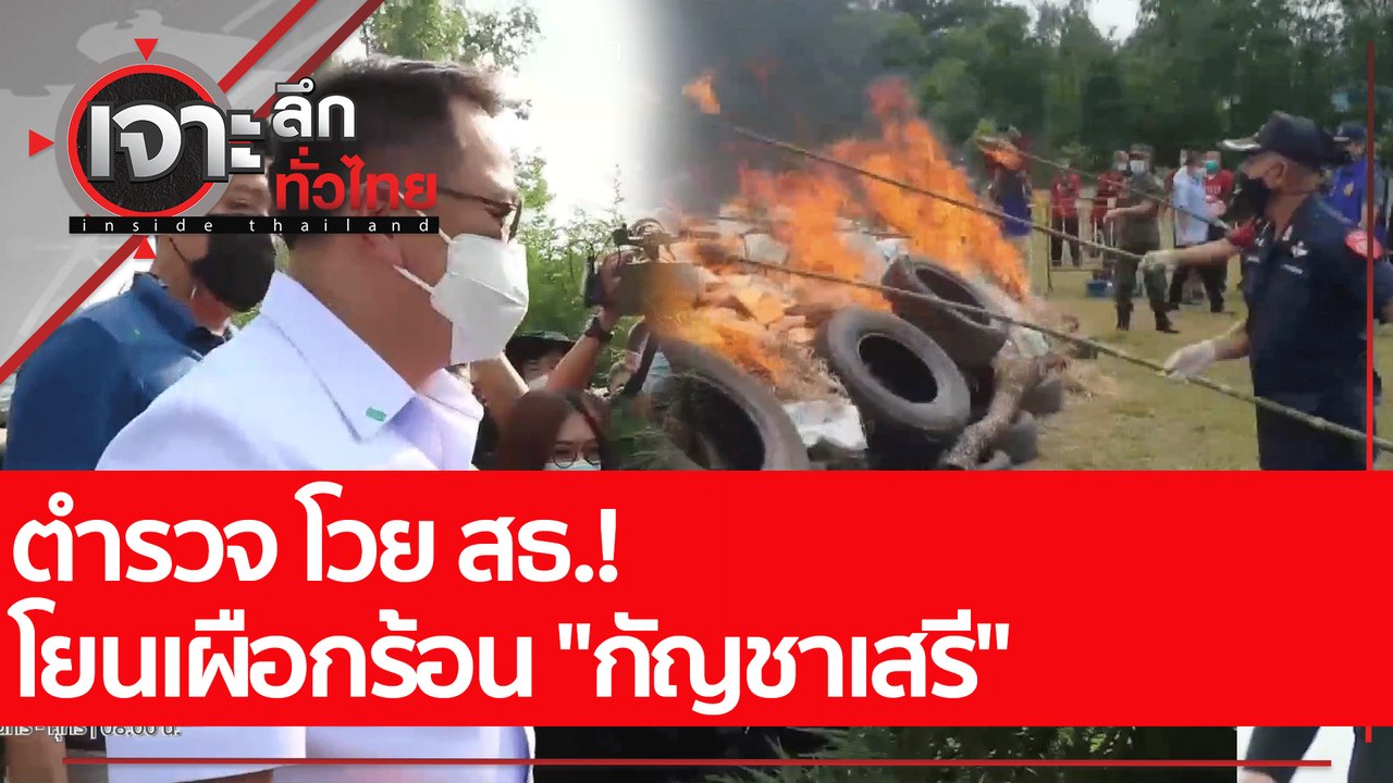 ตร.โวย สธ.! โยนเผือกร้อน "กัญชาเสรี"  : เจาะลึก...