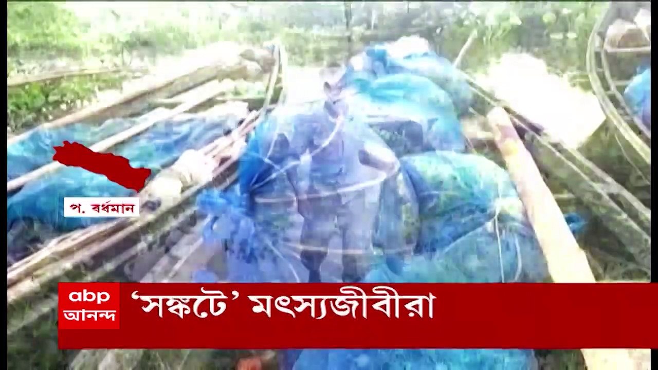 Fisherman Crisis: দুর্গাপুর ব্যারাজে মাছের সঙ্ক...