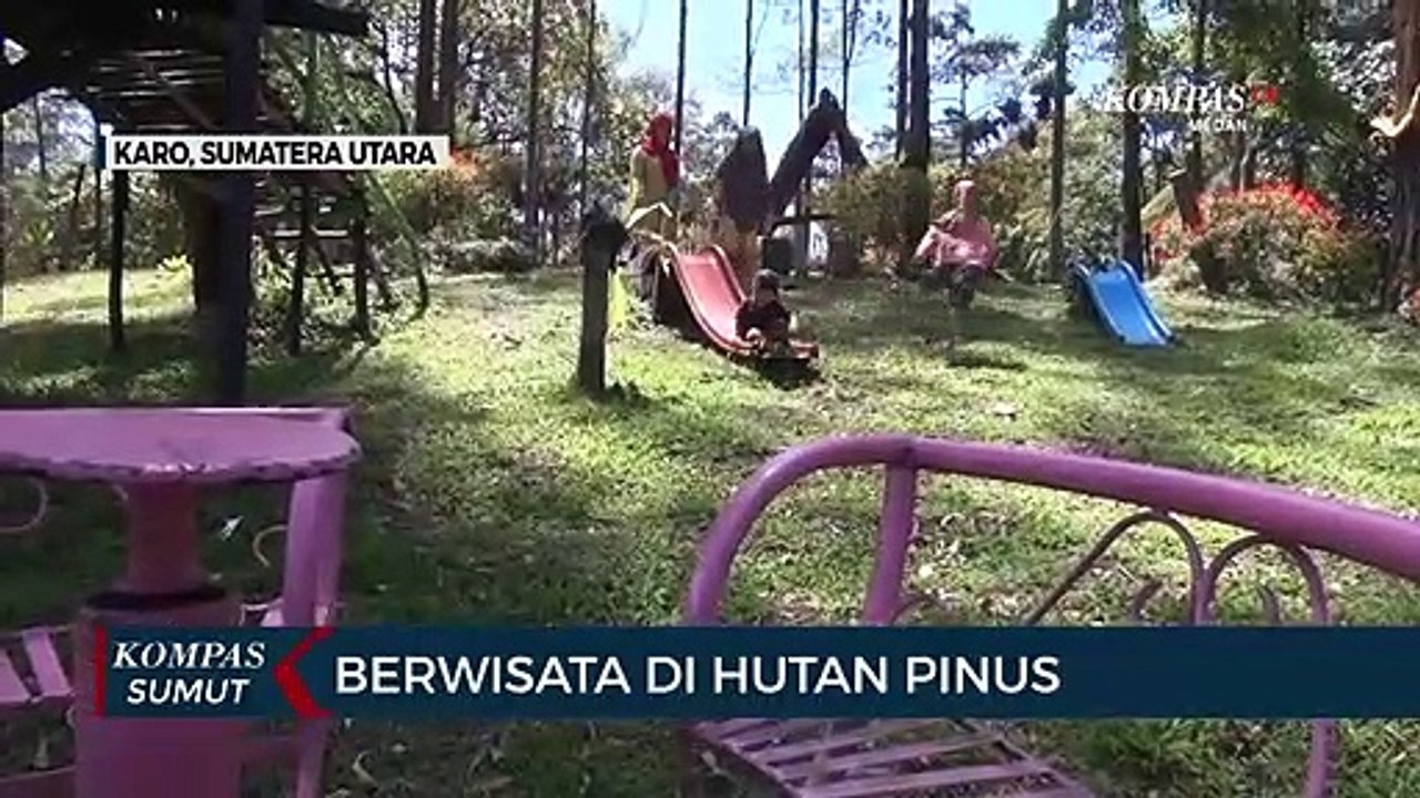 Taman Wisata Alam Rimba, Lokasi yang Cocok untuk Menikmati Keasrian Hutan Pinus