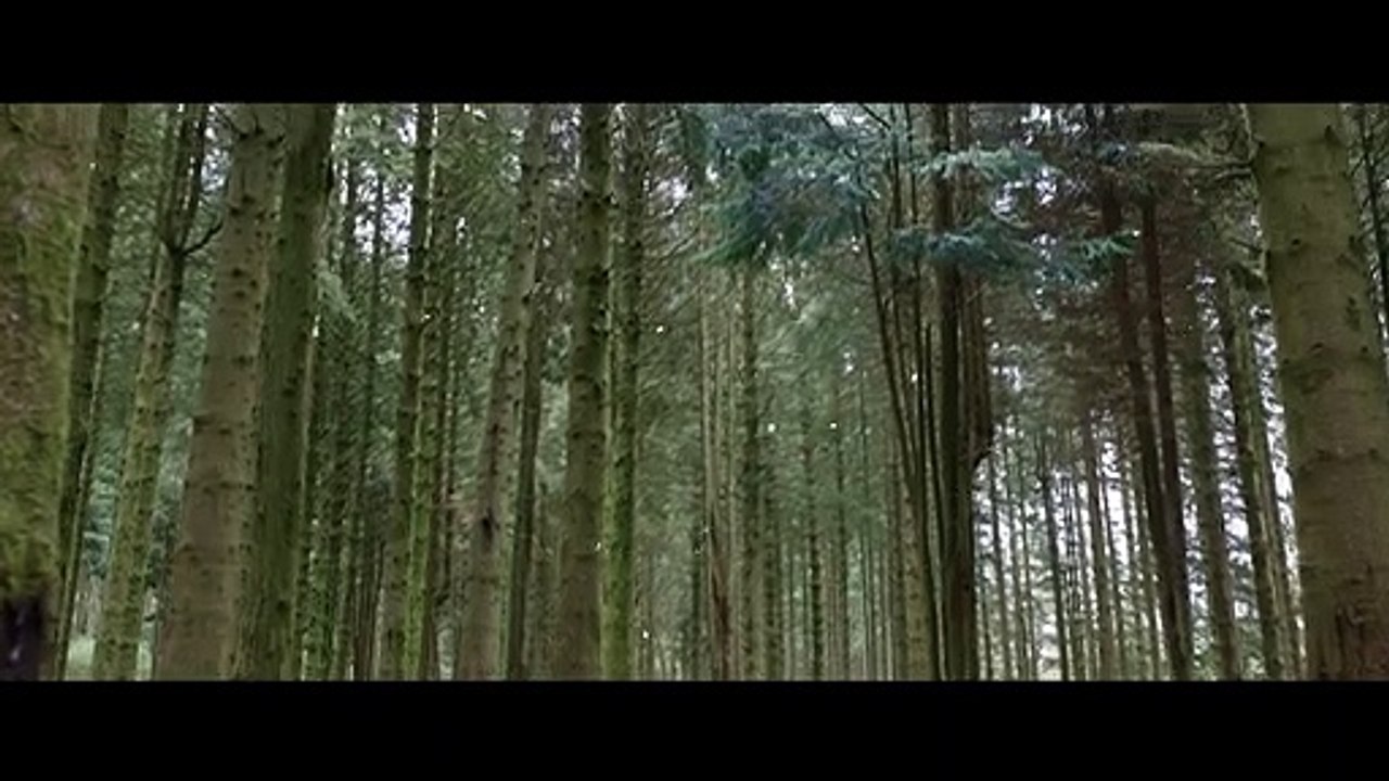 Willow Trailer DF
