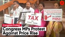 Four Suspended Lok Sabha MPs Continue To Protest Against Increasing GST Rates and Fuel Inflation
