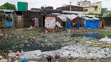 ગાજરાવાડીમાં દૂષિત પાણી અને ગંદકીથી નાગરિકો ત્રસ્ત