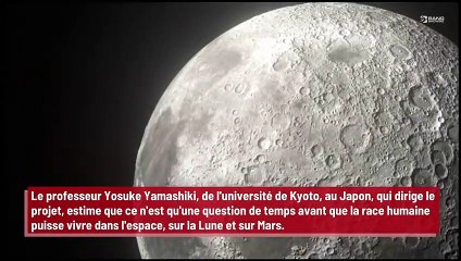 Des bébés naîtront sur la lune après la création d'une ville lunaire !