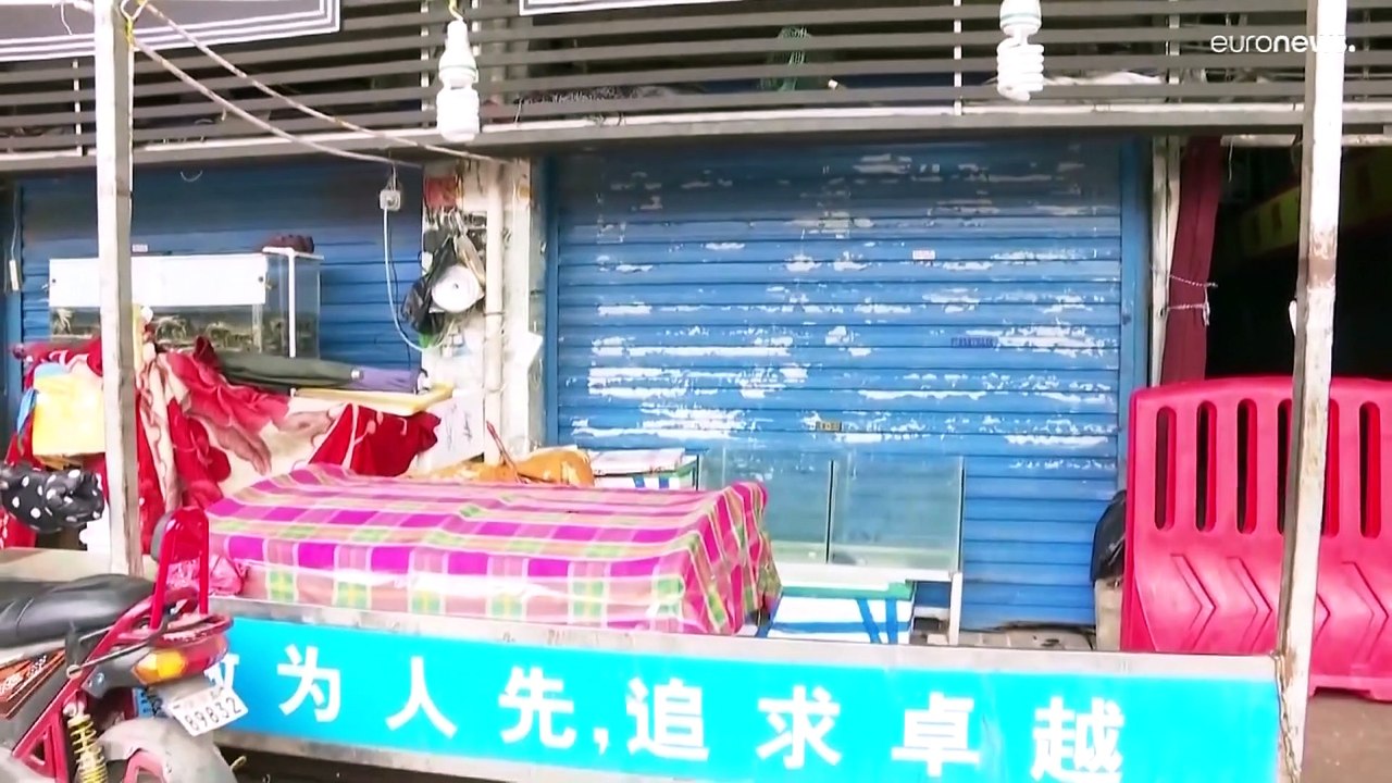 Neue Studien zur Corona-Pandemie: War doch der Markt von Wuhan das Epizentrum?