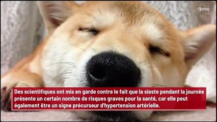 Les siestes diurnes augmentent le risque d'accident vasculaire cérébral !