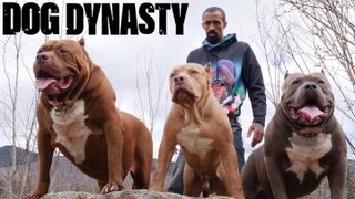 Marlon Gets Smashed By Hulk's Son Kobe | DOG DYNASTY