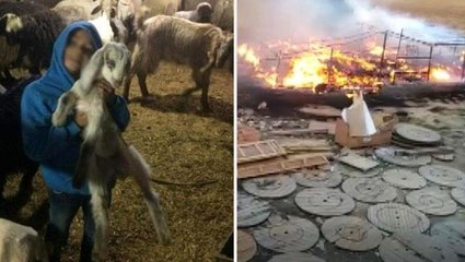 Ağılda çıkan yangında 12 yaşındaki çocuk yanarak öldü