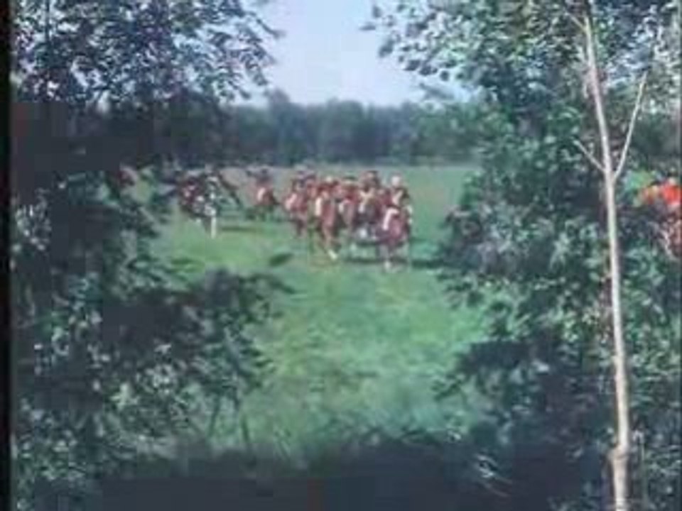 Fighting_pimpernel