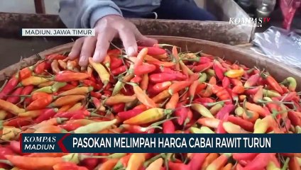 Pasokan Melimpah Harga Cabai Rawit Turun
