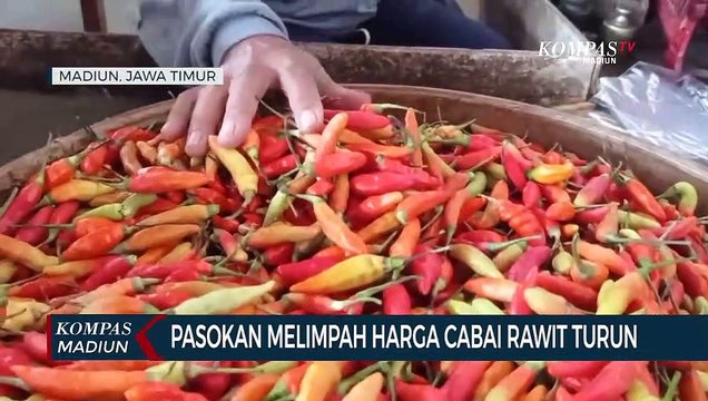 Pasokan Melimpah Harga Cabai Rawit Turun