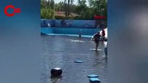 Fatih'te 'havuz' patladı: Okul bahçesi göle döndü