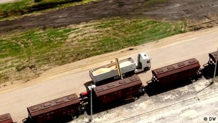 Caos en la exportación del trigo ucraniano