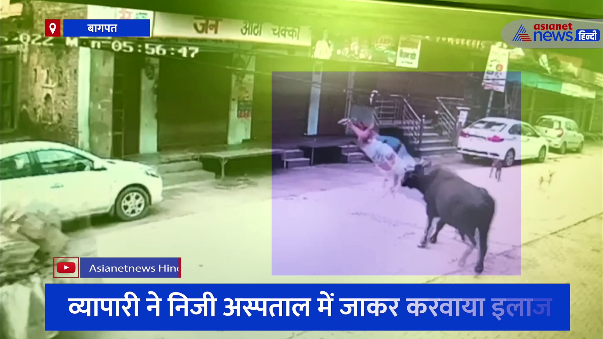 सांड के चंगुल में व्यापारी: सींग में फंसाकर 5 फीट उछाला, देखें रोंगटे खड़े कर देने वाला वीडियो