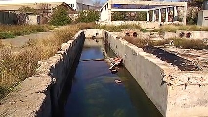 ZONA FALCATA, TUTTI A RAPPORTO A PALERMO