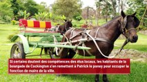 Un poney est devenu maire d’un village au Royaume-Uni !