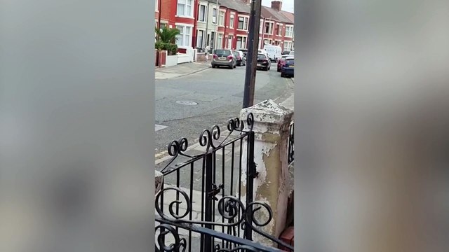 Hilarious footage shows a dad getting in a flap while being chased down the street by an angry seagull