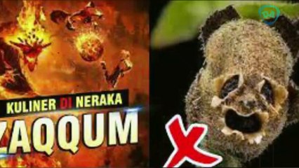 POHON ZAQQUM PENGHUNI NERAKA II BUAH KULINER INI ADA DI DUNIA