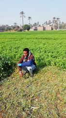 ابوك لما يتعصب عليك عمال علي بطال