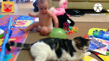 baby playing cat videos | entertainment | funny  videos