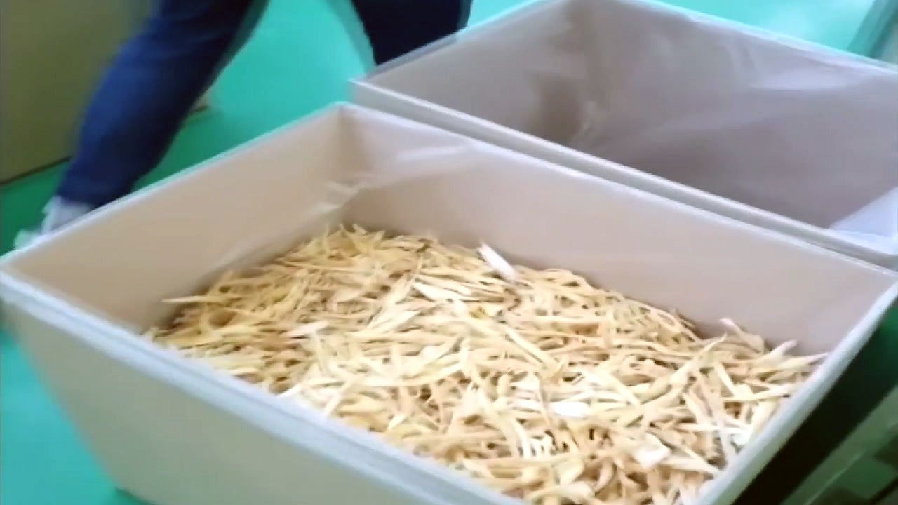 해경, 유통기한 지난 수입 황태 유통한 업체 적발 / YTN