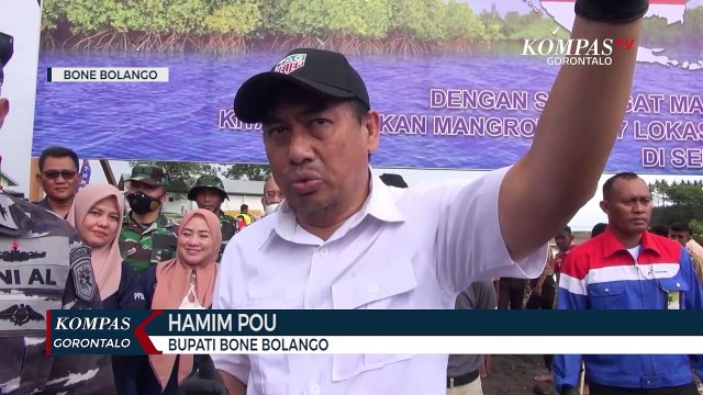 Lanal Gorontalo Tanam 5000 Bibit Pohon Mangrove Di Pesisir Pantai