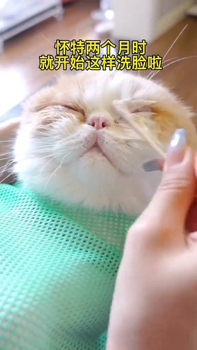 Immersive face washing