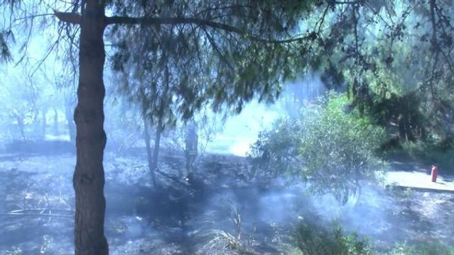 Son dakika haber: BAKIRKÖY'DE HASTANE BAHÇESİNDE YANGIN ÇIKTI