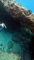 Cette plongeuse découvre des poches d'air piégés sous les rochers et c'est magnifique
