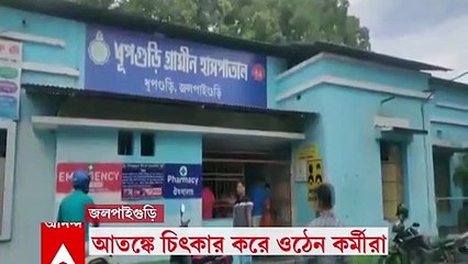 Jalpaiguri: হাসপাতালের টেবিলের তলা থেকে বেরিয়ে এল সাপ, হুলস্থুল ধূপগুড়িতে
